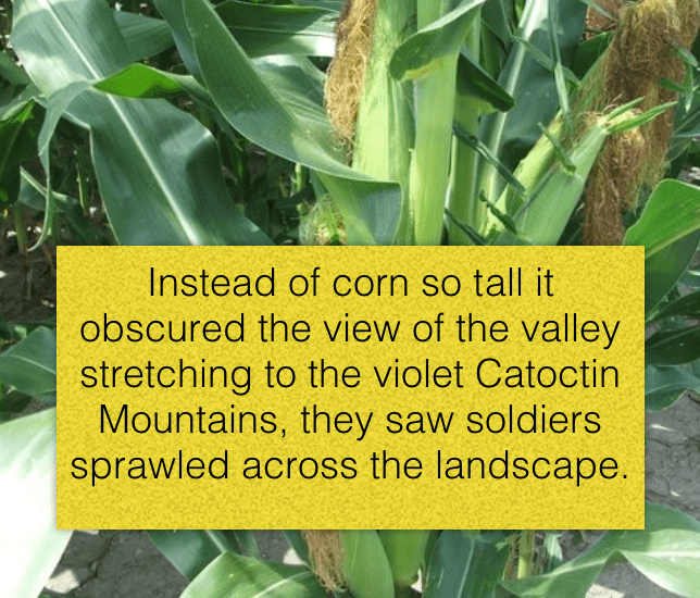 Screen Shot 2017-07-10 at 4.46.59 PM